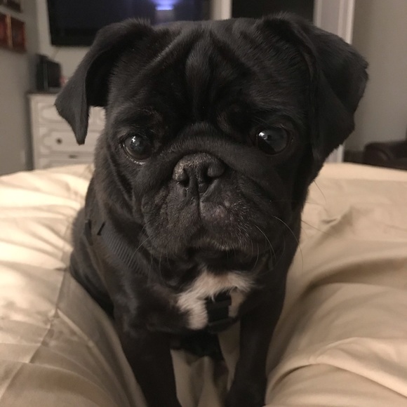 Meet your Posher, Julia - Picture 1 of 1